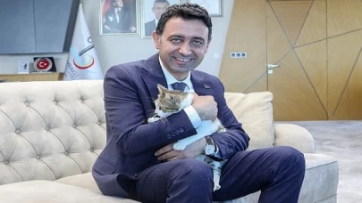 Bayraklı Belediye Başkanı İrfan Önal, yaralı kediye sahip çıktı 'sahiplenme’ çağrısı yaptı
