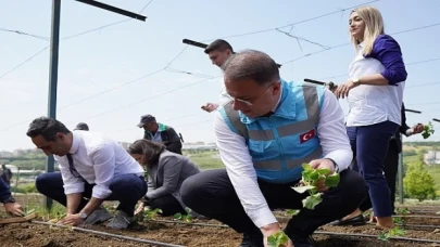 Beylikdüzü Belediyesi tarafından hayata geçirilen ve kent tarımına büyük katkı sunan Yaşam Bahçesi’nde yaz mevsiminin ilk fideleri dikildi