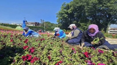 Bursa Osmangazi çiçek açıyor