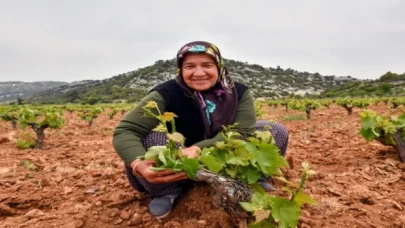 Çiftçinin yüzü organikle gülüyor