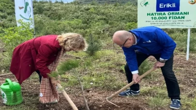 Derince’de 10 bin fidana hayat verildi