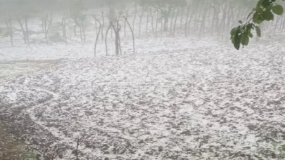 Düzce’de dolu yağışı hayatı olumsuz etkiledi