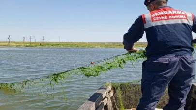 Edirne’de jandarma balık ağlarını topladı