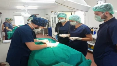 Geleceğin veteriner hekimlerine Osmangazi’de eğitim