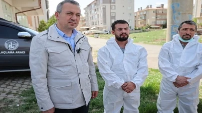 Haşere İle Mücadele Çalışmaları Devam Ediyor…