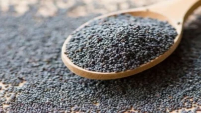 Hububat ve bakliyat ihracatı 4 ayda 4 milyar dolara ulaştı