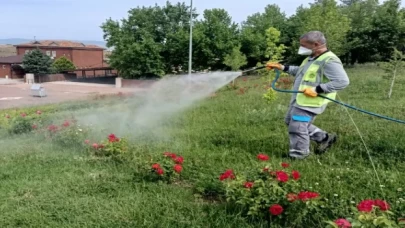 ilaçlama çalımaları yoğun bir şekilde sürdürülüyor