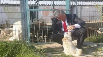 İpsala Sokak köpeklerine sahip çıkacak