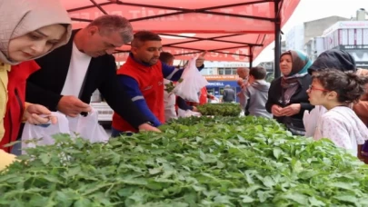 İzmit’te tarımsal kalkınmaya fide desteği