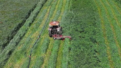 Konya Büyükşehir’in Macar Fiği Tohumu Desteği ile Ekilen Tarlalarda Hasat Yapıldı  Başkan Altay: “Çiftçimize Verdiğimiz Desteklerle Millî Ekonomiye Katma Değer Sağlıyoruz”
