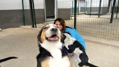 Mersin Yenişehir Belediyesi sokak hayvanları için 15 bin metrekarelik bakımevi oluşturdu