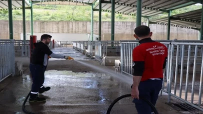Modern Hayvan Pazarı, Kurban Bayramı’na hazırlanıyor