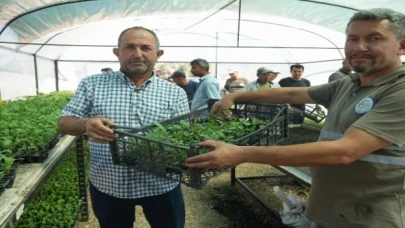 Muğla Milas’ta üreticilere fide desteği