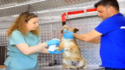 Muğla’da can dostlara acil müdahale aracı