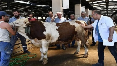Osmangazi Kurban Bayramı’na hazır