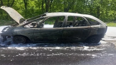 Pazaryeri yolunda araç alev topuna döndü