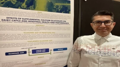 Yem sektörüne akademik ve bilimsel çalışmalarla yön veriyor