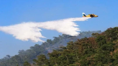 27 ilde ormanlara giriş yasaklandı!