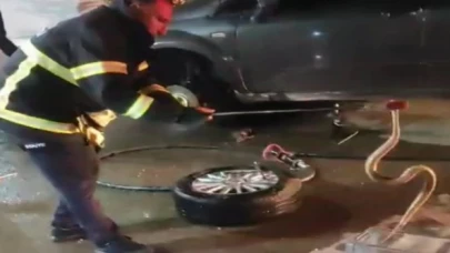 Adıyaman’da konteyner kentte yılan paniği!