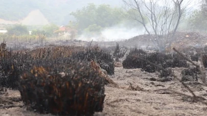 Antalya Aksu Çalkaya Mahallesi’nde Çıkan Yangın Kontrol Altına Alındı