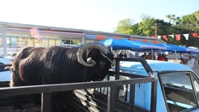 Antalya Büyükşehir Belediyesi 3 farklı noktada kesim hizmeti veriyor