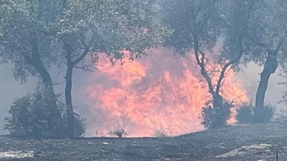 Aydın Büyükşehir Belediyesi İtfaiyesi, 48 saatte çıkan 81 yangına müdahale etti