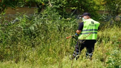 Balıkesir’de haşereye geçit yok