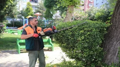 Başkan Mutlu tespit etti, ekipler sahaya indi