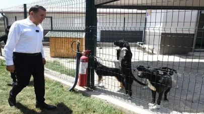 Başkan Özyiğit, “Bakımevimizde sokak hayvanlarını sahiplendirmeye başladık”