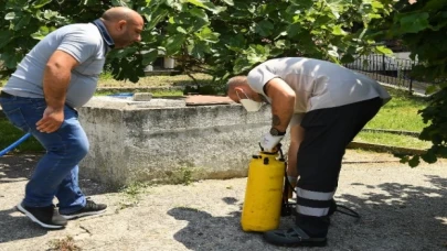 Beylikdüzü’nde ilaçlamalar sürüyor