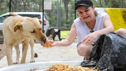 Buca’da sahipsiz can dostları için önemli iş birliği