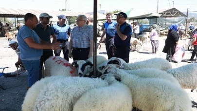 Burhaniye Belediyesi Kurban Bayramı Arifesinde kurban satış ve kesim yerlerini denetledi