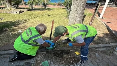 Burhaniye Belediyesi’nden Sokak Hayvanları İçin Özenli Bakım