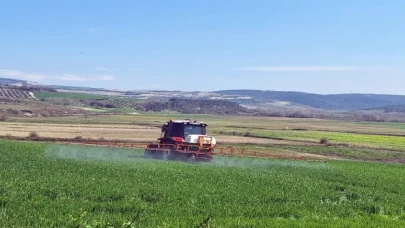 Bursa Mudanya’da süneyle kimyasal mücadele başladı