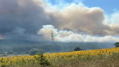 Bursa Nilüfer’deki orman yangını üniversiteye sıçradı