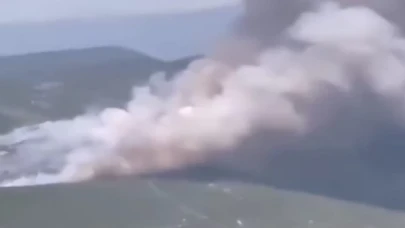 Bursa’da orman yangını!