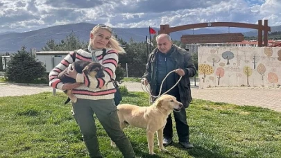 Büyükşehir 3202 Can Dostu Yeni Yuvalarına Kavuşturdu