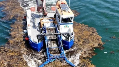 Büyükşehir, deniz ekosistemini koruyor