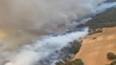 Çanakkale Eceabat’ta yangına müdahale sürüyor!