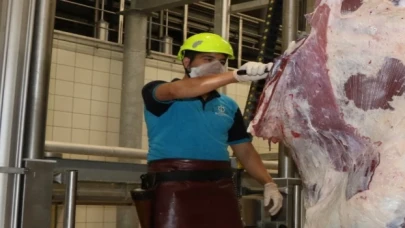 Çevreye atılan et ve kemikler halk sağlığını tehdit ediyor