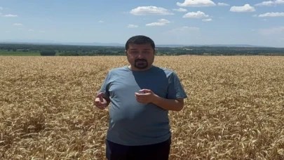 CHP’li vekilden TMO’ya buğday tarlasından tepki