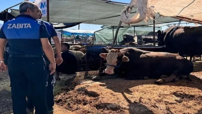 Çiğli Belediyesi Bayram Boyunca Denetimlerini Sürdürüyor