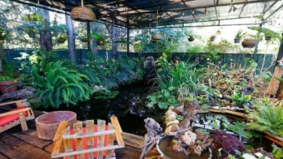 En güzel Bahçe, Balkon ve Teras yarışması sonuçlandı