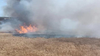 Enez’de buğday tarlasında yangın!