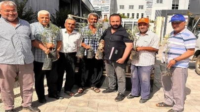Gazipaşalı çiftçilere zeytin fidanı desteği
