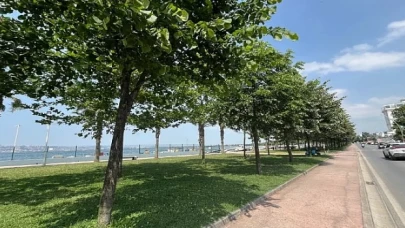 Ihlamur kokusu sardı her yanı