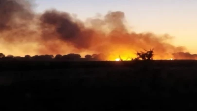 İpsala’da 100 dekar buğday tarlası yandı