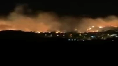 İzmir Dikili’de korkutan yangın