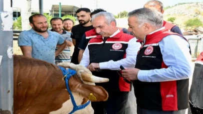 İzmir hayvan pazarları Kurban Bayramı’na hazır