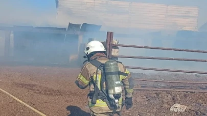 İzmir İtfaiyesi iki yangına birden müdahale etti